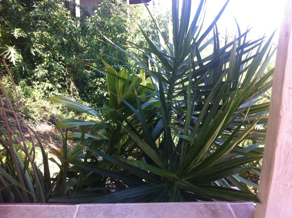 Sunset Gardens Guesthouse Contant  Exterior photo